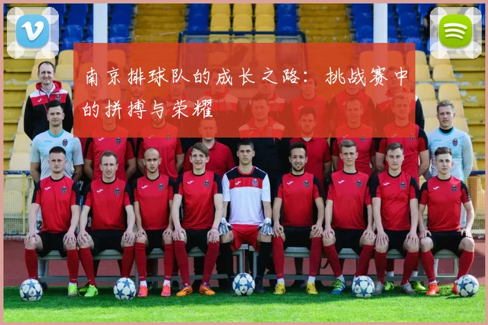 南京排球队的成长之路：挑战赛中的拼搏与荣耀