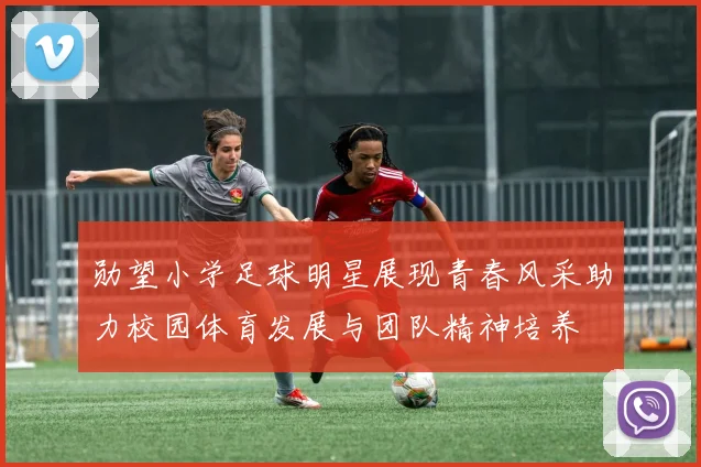 勋望小学足球明星展现青春风采助力校园体育发展与团队精神培养