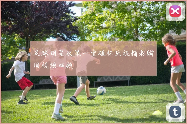 足球明星欢聚一堂碰杯庆祝精彩瞬间视频回顾