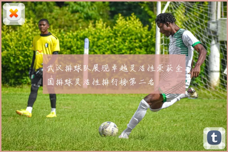 武汉排球队展现卓越灵活性荣获全国排球灵活性排行榜第二名