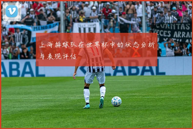 上海排球队在世界杯中的状态分析与表现评估