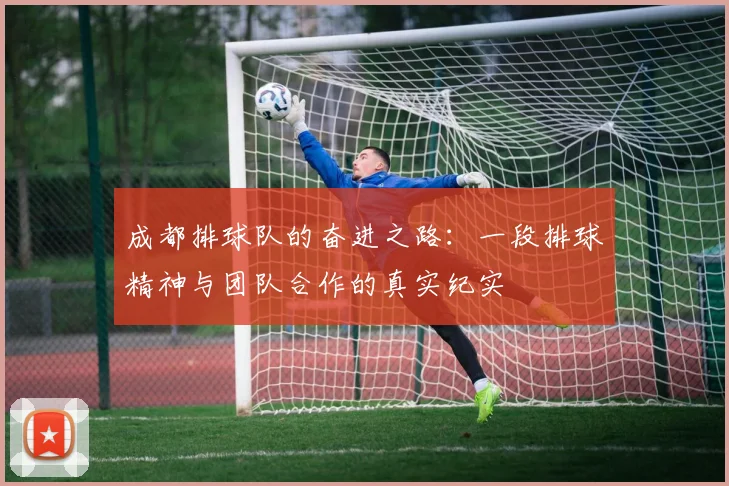成都排球队的奋进之路：一段排球精神与团队合作的真实纪实