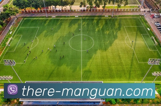 满冠体育平台生态图